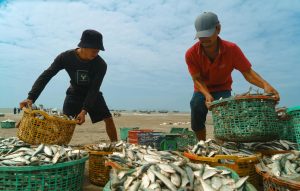 Minh họa giao diện bắn cá online với đàn cá nhiều màu dưới đại dương