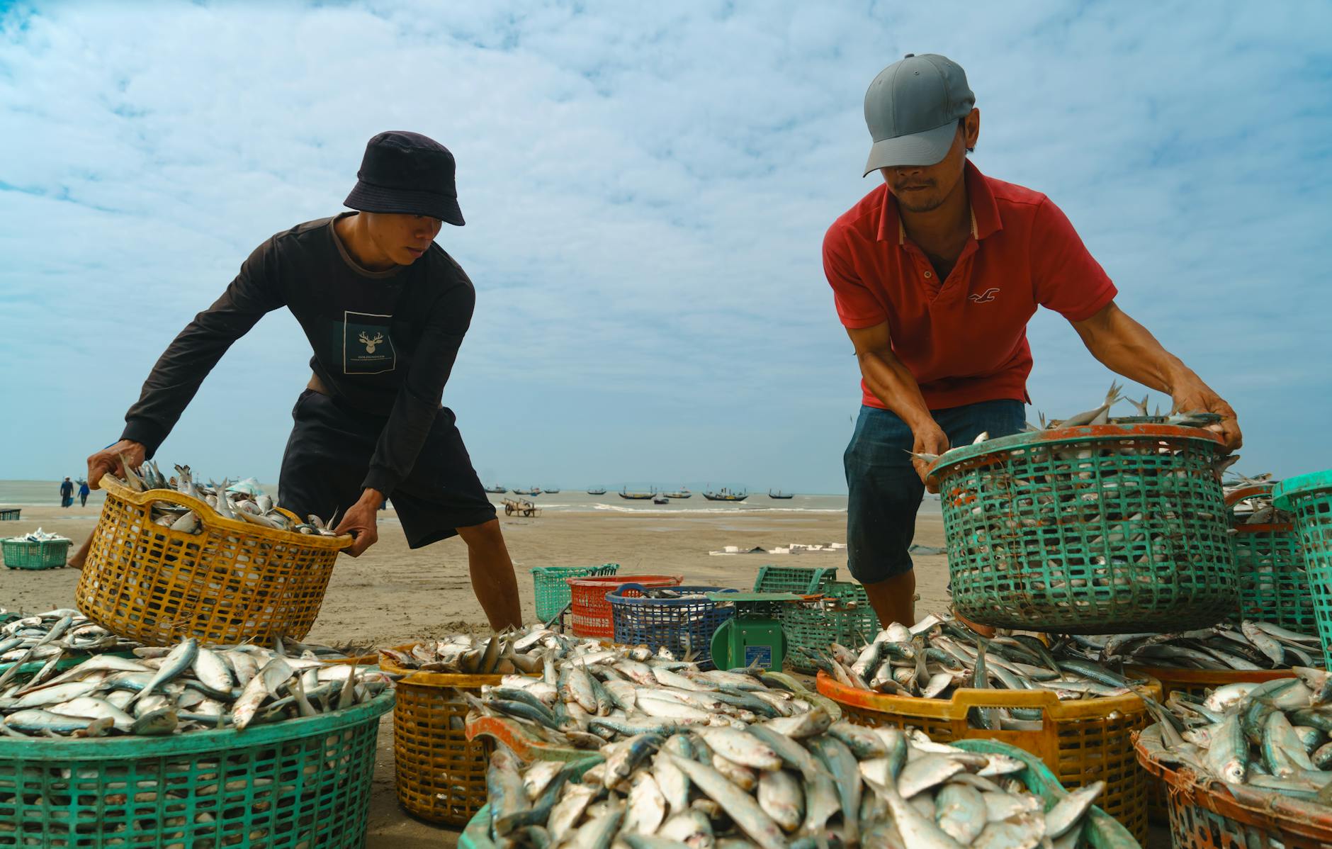 Minh họa giao diện bắn cá online với đàn cá nhiều màu dưới đại dương